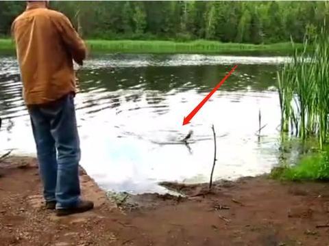 钓鱼爆料视频最新消息,惊心动魄的捕鱼瞬间！